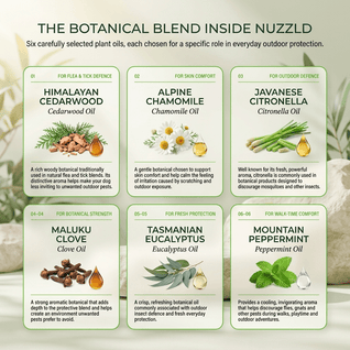 Nuzzld