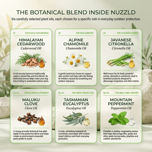 Nuzzld